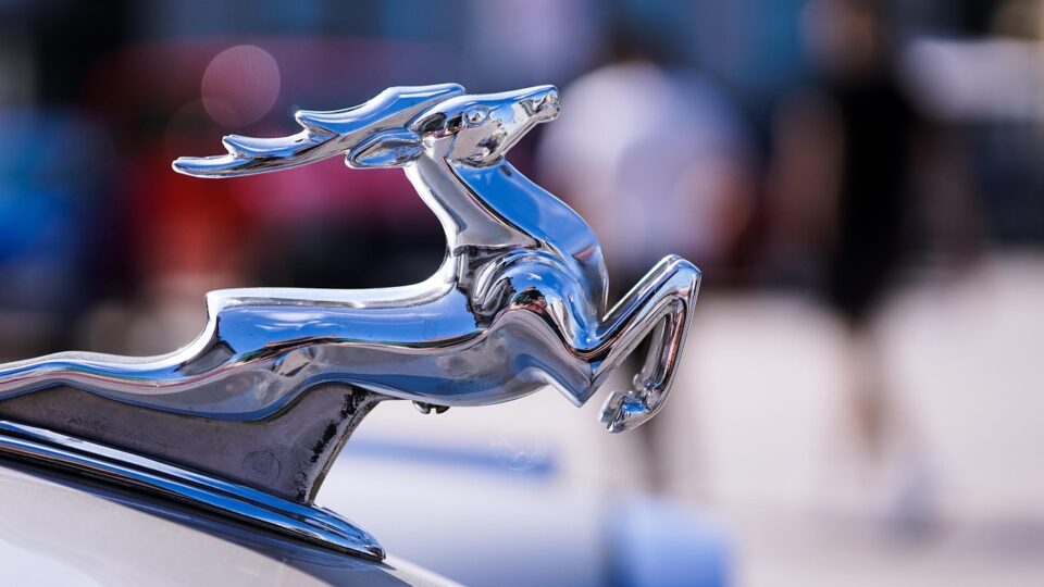 deer, the emblem, symbol, silver, auto, glossy, pearlescent, the light