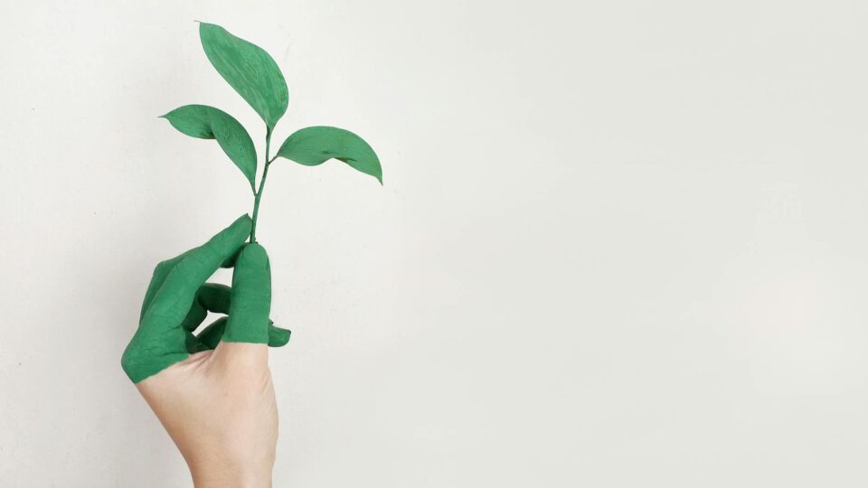 A hand painted green holds a fresh plant sprout against a light background, symbolizing growth and sustainability.